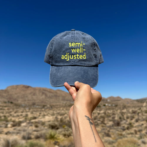 Hand holding a blue cap with 'semi-well-adjusted' text against a desert landscape.