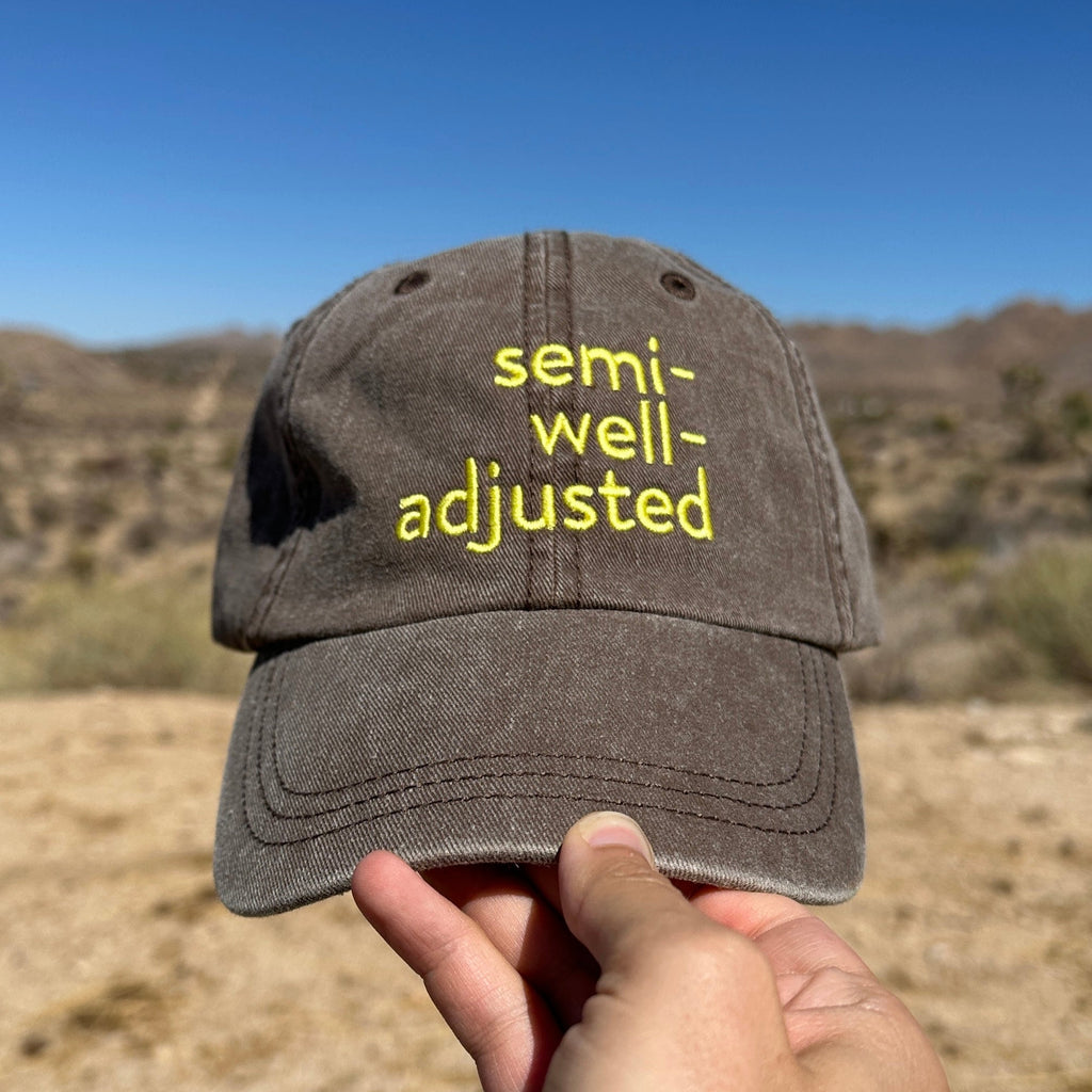 Brown cap with 'semi-well-adjusted' text held in front of a desert landscape