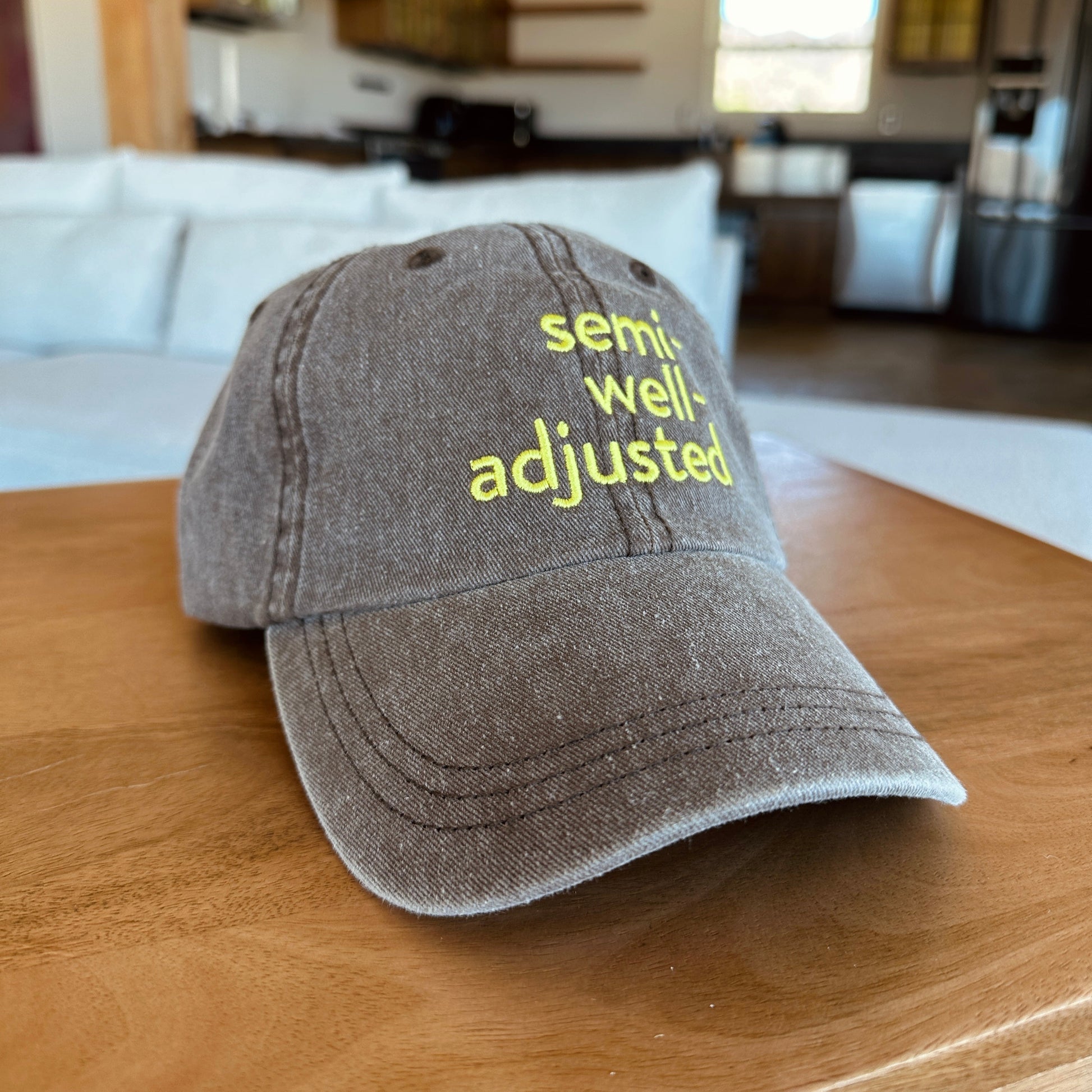Brown cap with 'semi well adjusted' text on a wooden table in a living room setting