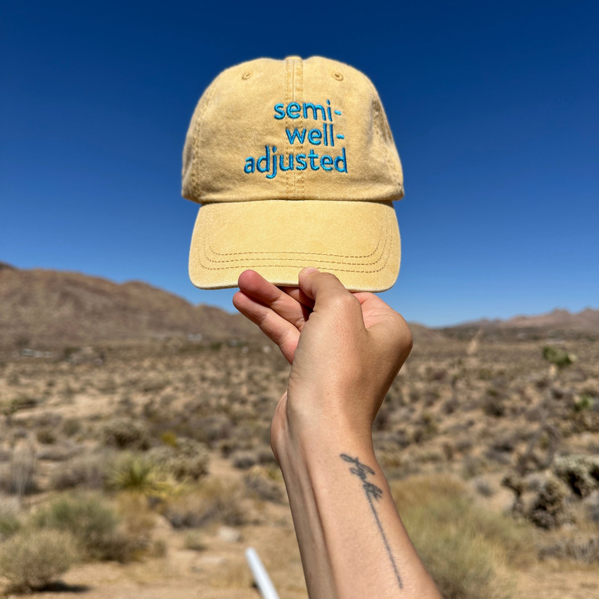Hand holding a yellow cap with 'semi well adjusted' text against a mountainous background